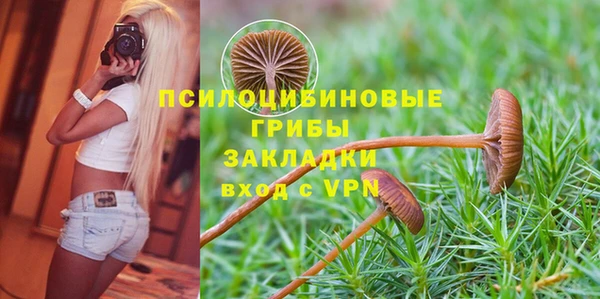 каннабис Алексин