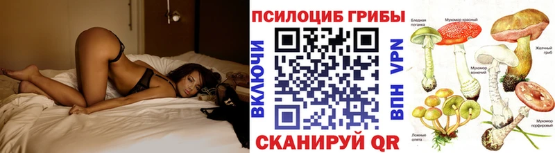 Псилоцибиновые грибы мицелий  это состав  Курган  где купить  